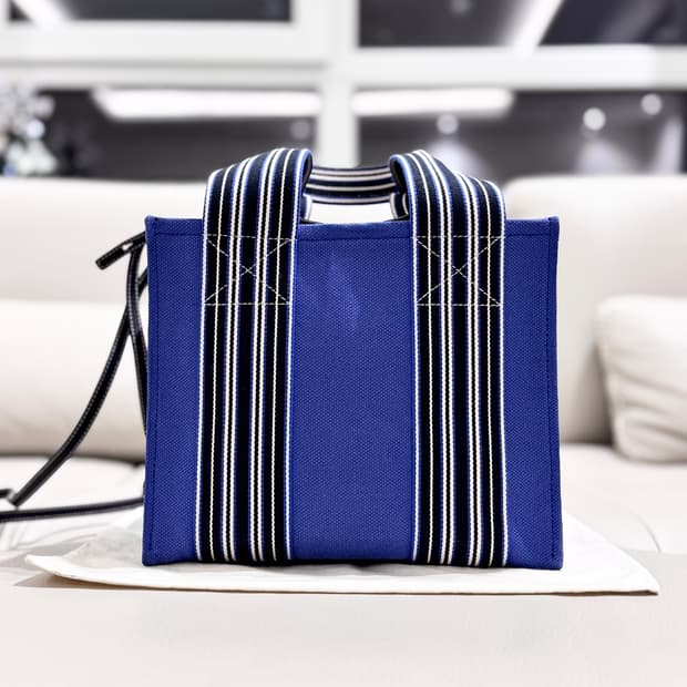 로로피아나 수트케이스 스트라이프 미니