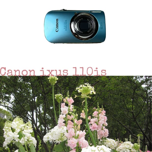 Canon ixus 110is