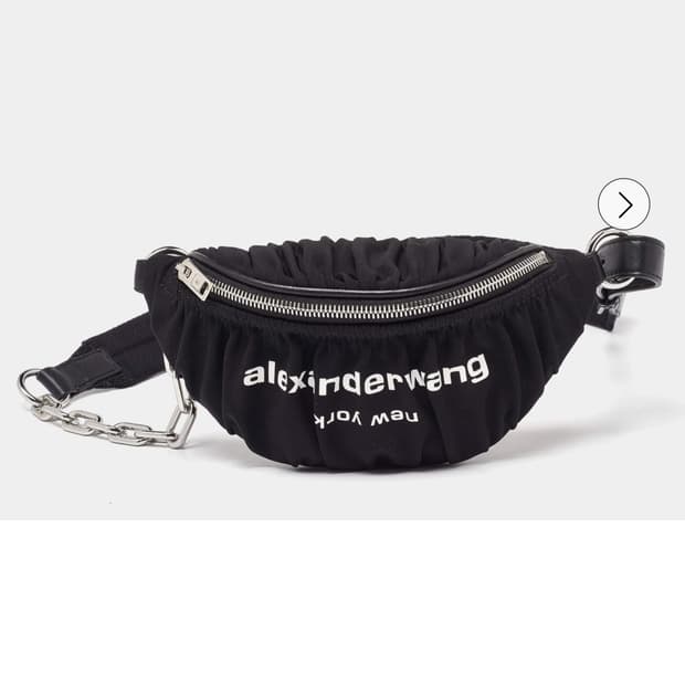 알렉산더왕 백 (실사용 1회 정품)