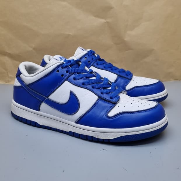나이키 덩크로우 블루 남성운동화260 