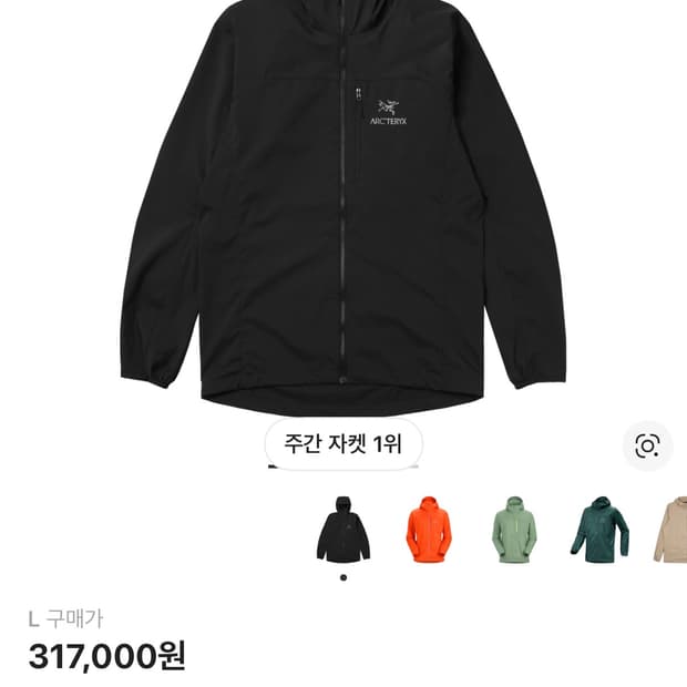 아크테릭스 스쿼미시 후디 블랙 L