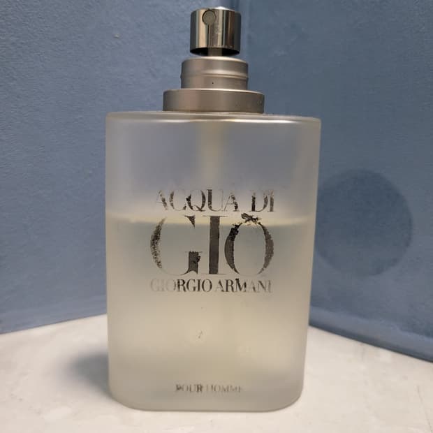 조르지오 아르마니 아쿠아 디 지오 EDT 100ml 향수 (4)