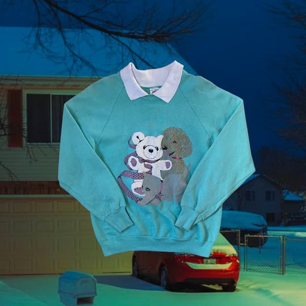 프룻 오브 더 룸 스웻셔츠 (Woman L) AB1749