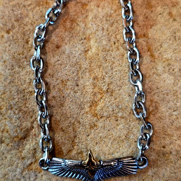 Surgical & silver925 egle bracelet