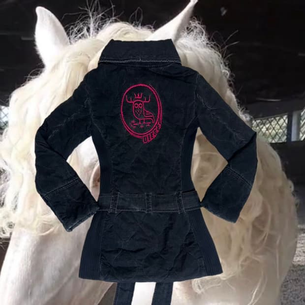 DIESEL ☠️vintage washing highneck jacket