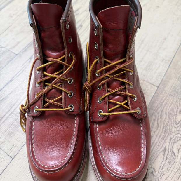 레드윙 아이리쉬세터 8875 7E