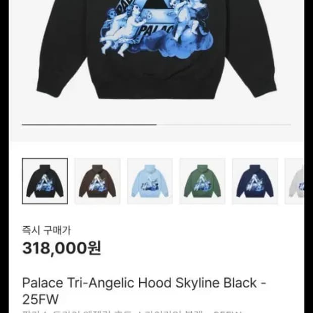 팔라스 트라이 앤젤릭 후드 블랙 L