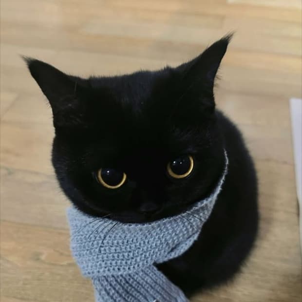 owo님 안전 개인결제글 