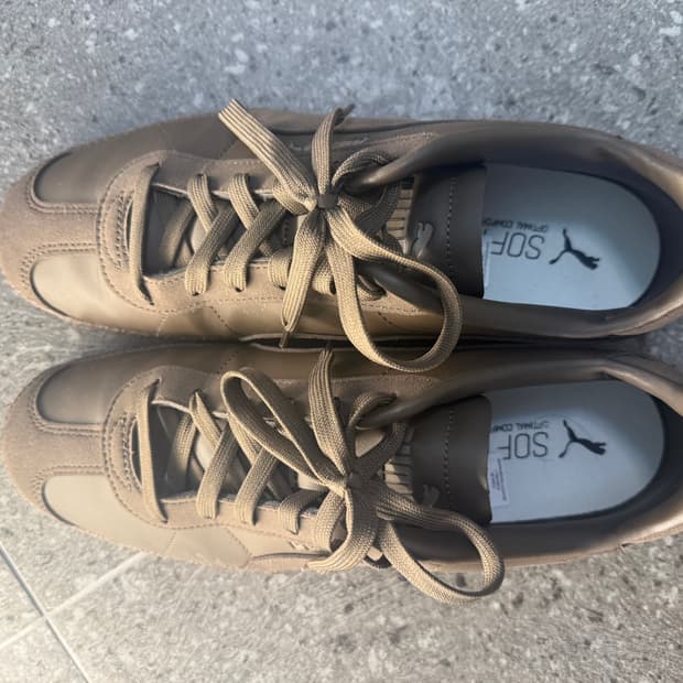 푸마 클럽 SD FS - 초콜릿:타우페 290