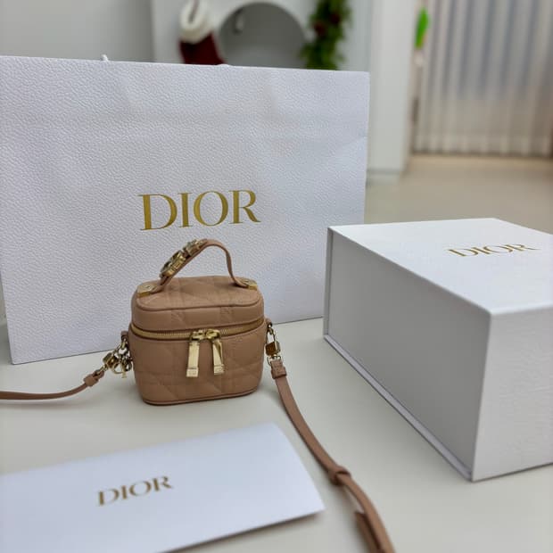 디올 마이크로 베니티 로즈드방 뉴버전 (2025.02 구매)