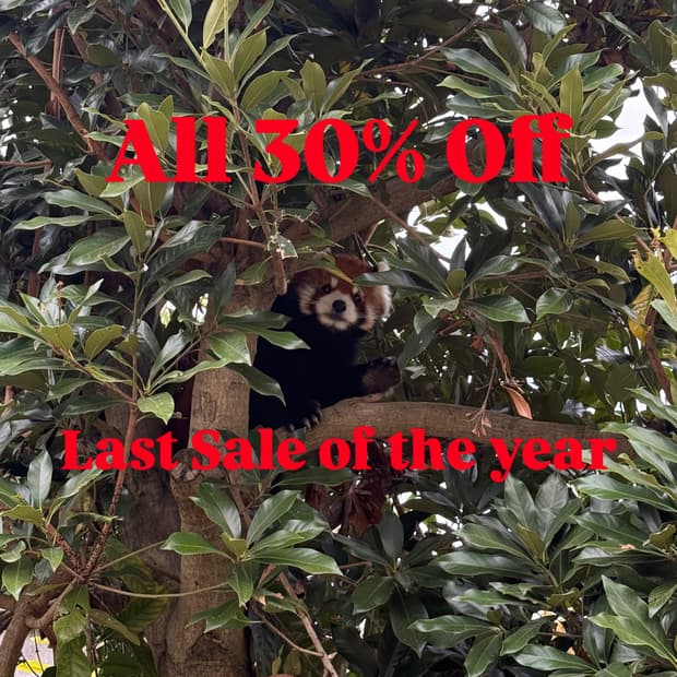 All 30% Off🔥 Last sale of the year🔥