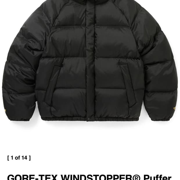 디스이즈네버댓 고어택스 윈드스토퍼 패딩(L)