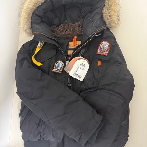 파라점퍼스 고비