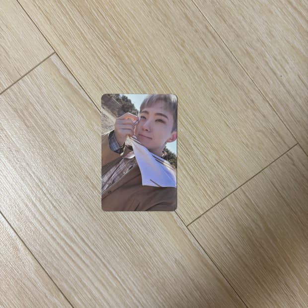 세븐틴 눈쓱햄 호시 포카