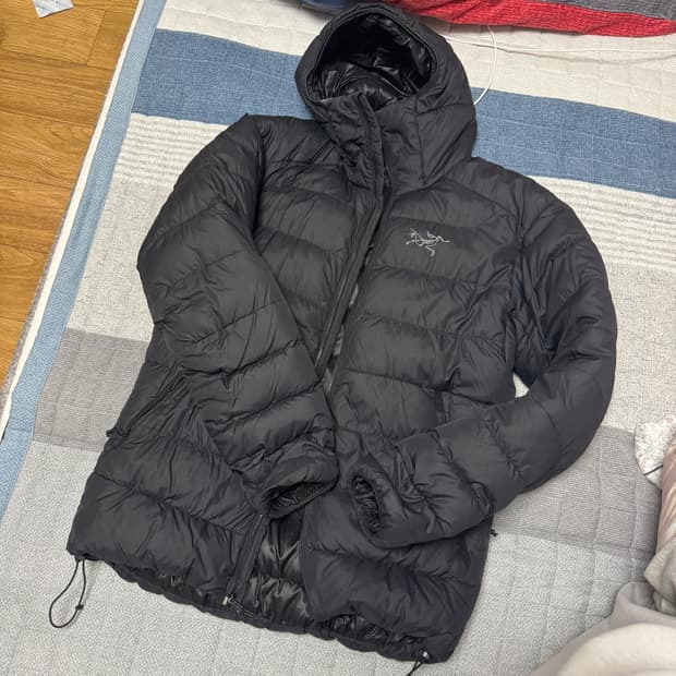 아크테릭스 토륨 AR 후디 파라독스 S