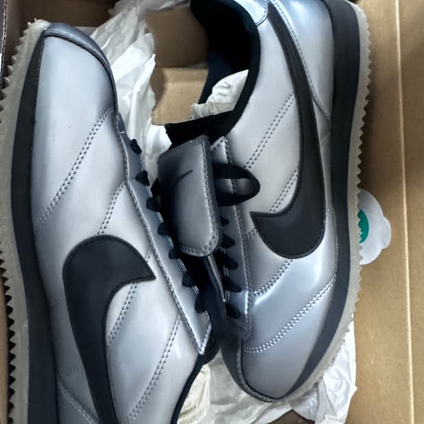 나이키 코르테즈 메탈릭 250