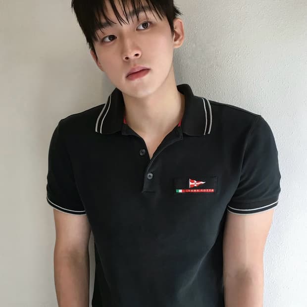 PRADA 루나로사 폴로 티셔츠