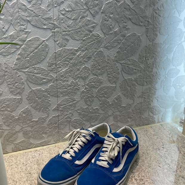 반스 올드스쿨 270