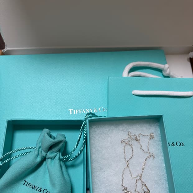 티파니앤코 올리브리프 하트 목걸이