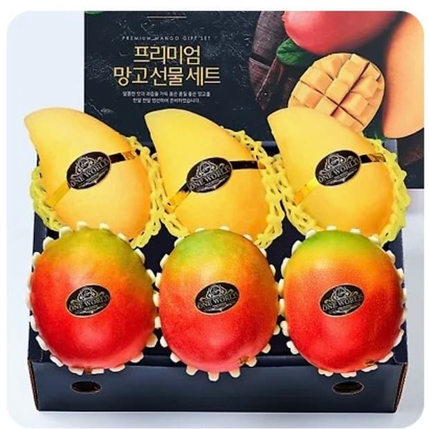 원월드 프리미엄 고당도 애플망고&골드망고 과일세트 2kg 이상 (로얄과