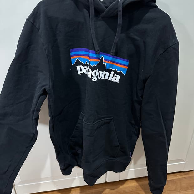 파타고니아 후드티 팝니다