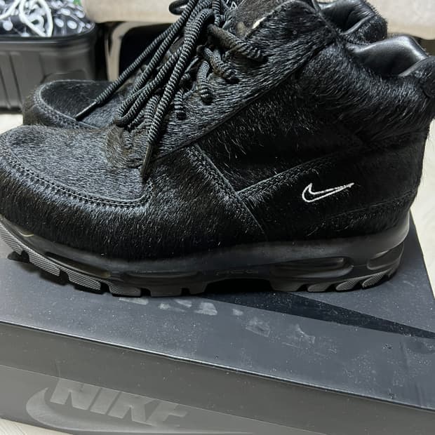 나이키 고아돔 송치 포니280