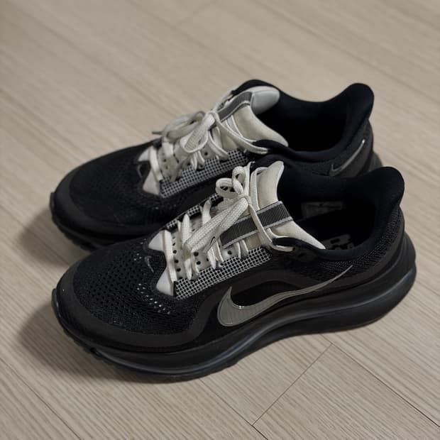 나이키 페가수스 프리미엄 러닝화