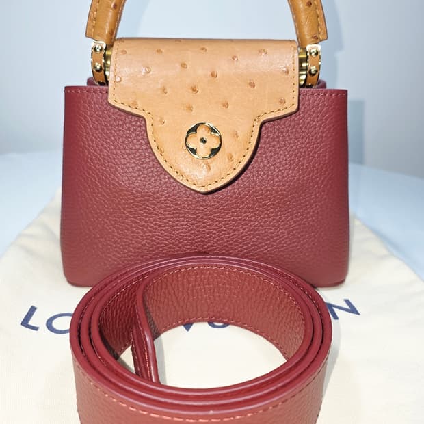 루이비통 카퓌신 미니 오스트리치 N81409