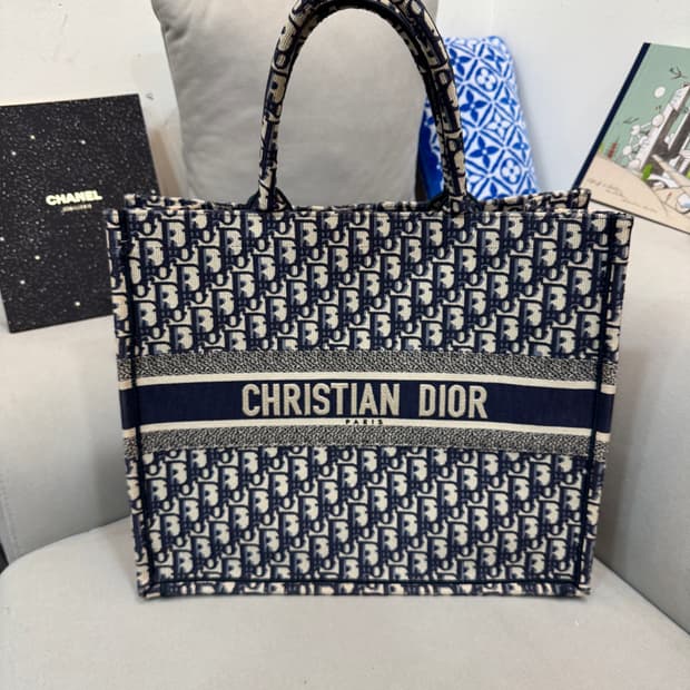 디올 오블리크 북토트 라지