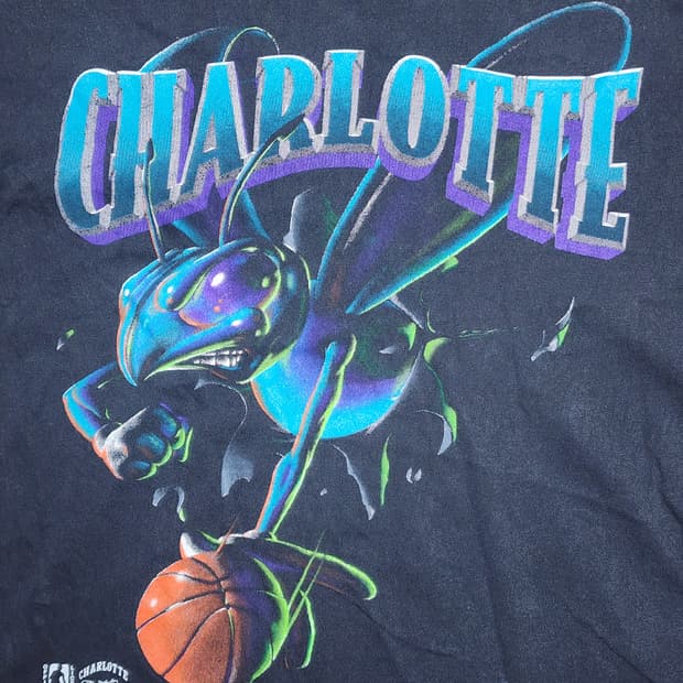 1994 오리지널 빈티지 NBA 샬럿 호네츠 넛멕 티셔츠54