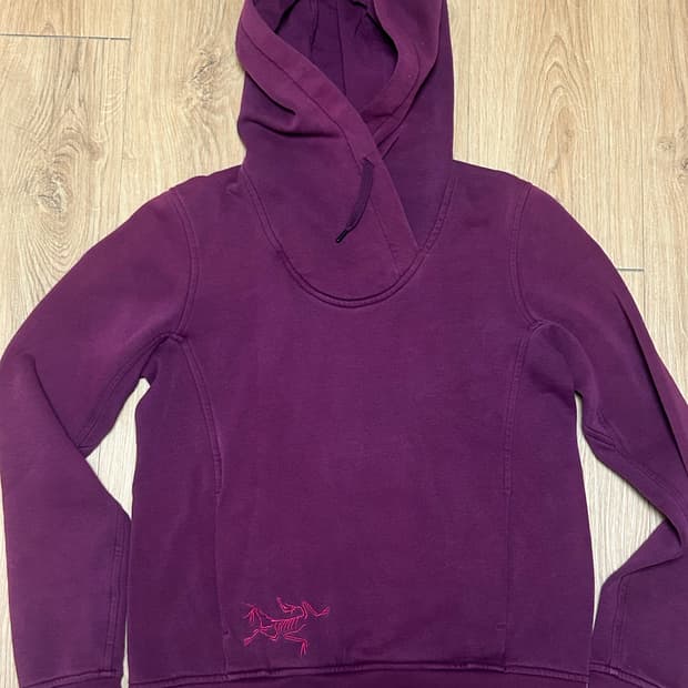 아크테릭스 빅로고 후드티