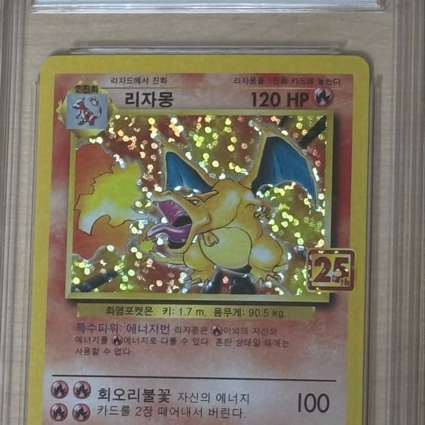 25주년 리자몽 brg10