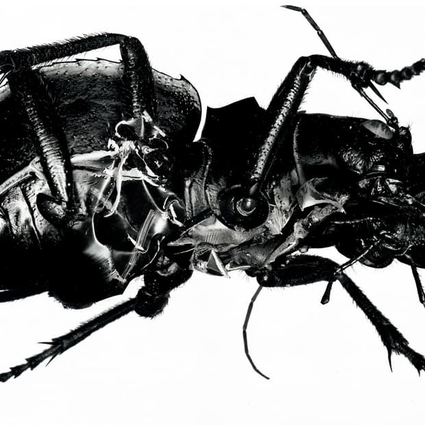 90s Massive attack XL