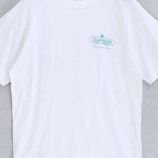 Hanes _ crew neck print tee