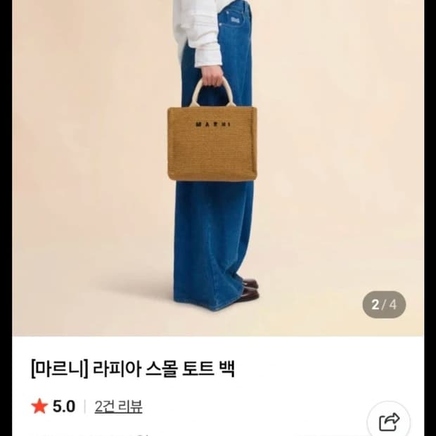 마르니 라피아 스몰 토트백