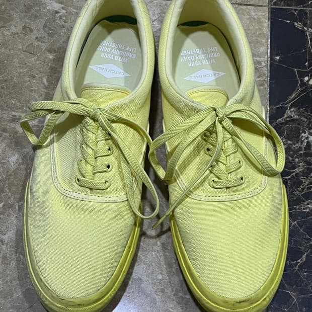 캐치볼 레몬 290