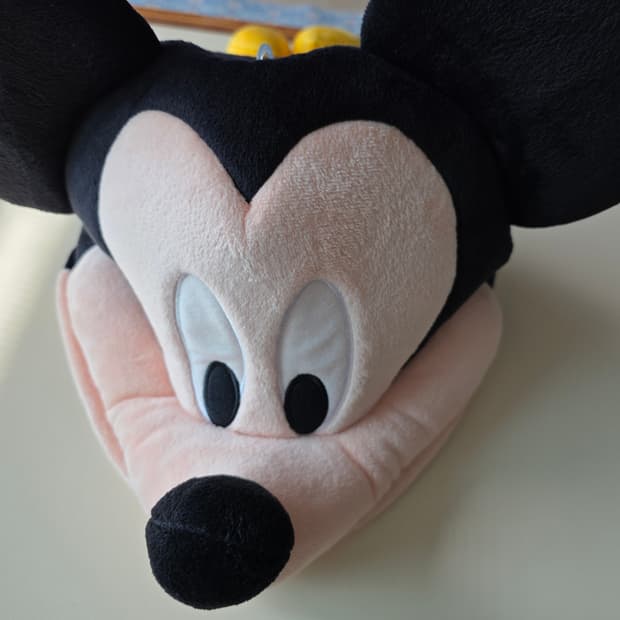 도쿄디즈니랜드 미키모자