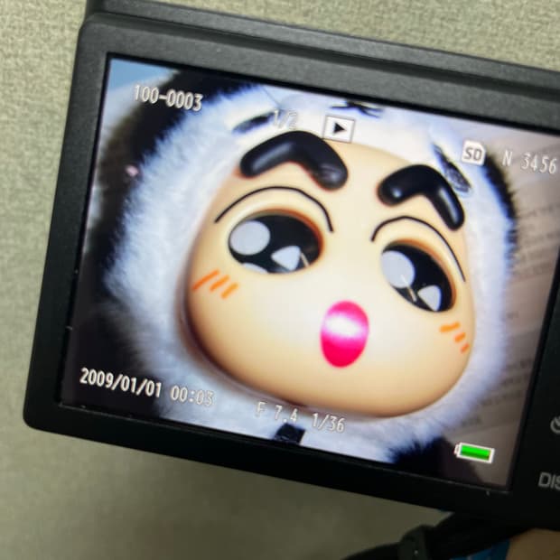 리코 cx2 ricoh cx2