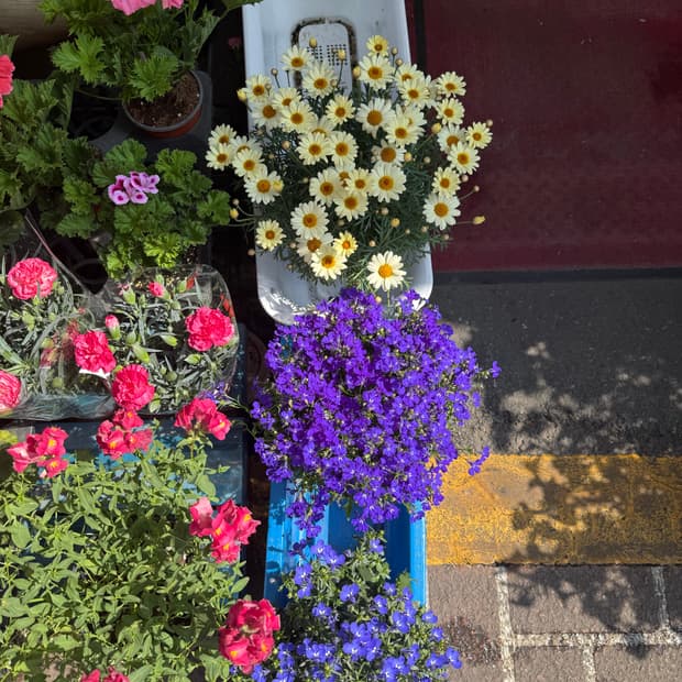 캐논 ixy3 (ixus500) 구합니다 