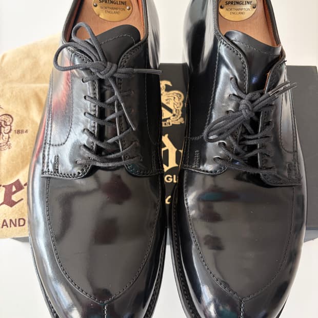 알든 모디파이드 v팁 9.5D 코도반