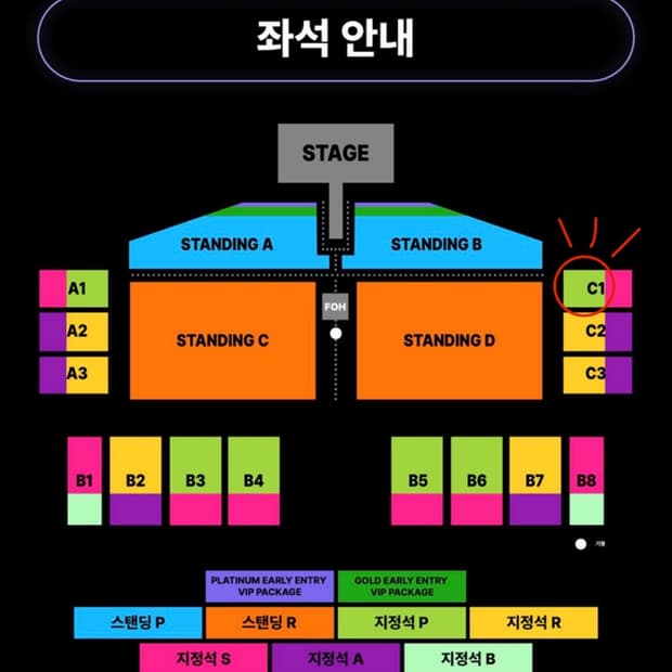 도자캣 내한 콘서트 C1구역 2연석 지정석 P 2열