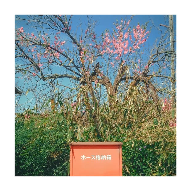 빈티지 디카 끝판왕! 초레어 후지 파인픽스 m603!