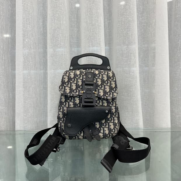 디올 오블리크 갤롭 백팩