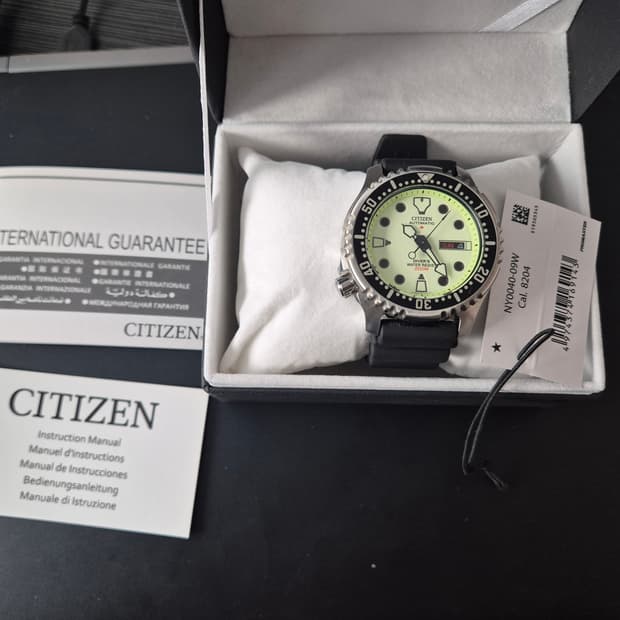 시티즌 복어 풀루메