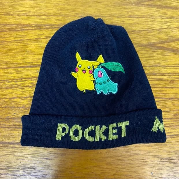 포켓 몬스터 비니