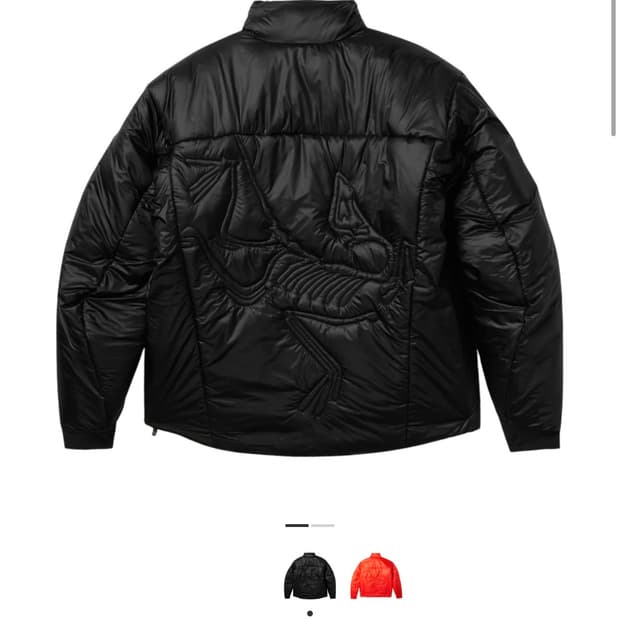 L) 아크테릭스 시스템A ogee 인슐레이트 자켓 새상품