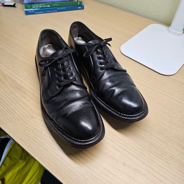 Alden 알든 플레인토 PTB 알파인그레인 카프스킨 9 블랙