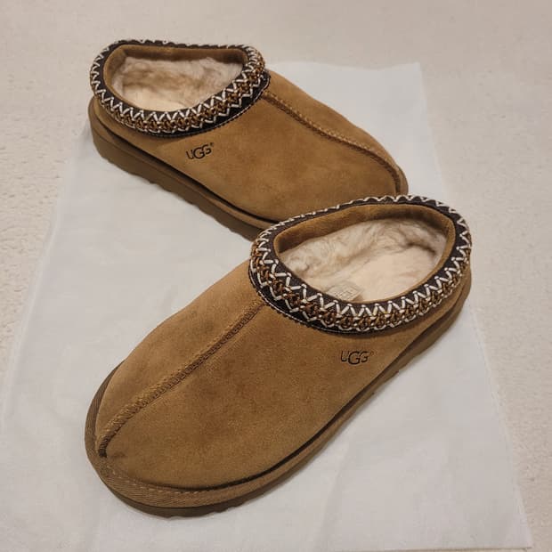 어그 타스만 230