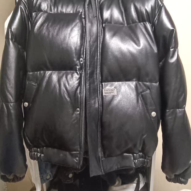 디아프바인 아머 패딩(램스킨)