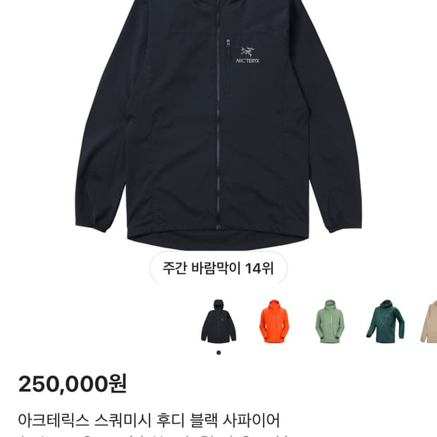 아크테릭스 스쿼미시 블랙사파이어 xs